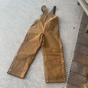 Men’s Carhartt Quilt-Lined Bib Overalls 38x30
